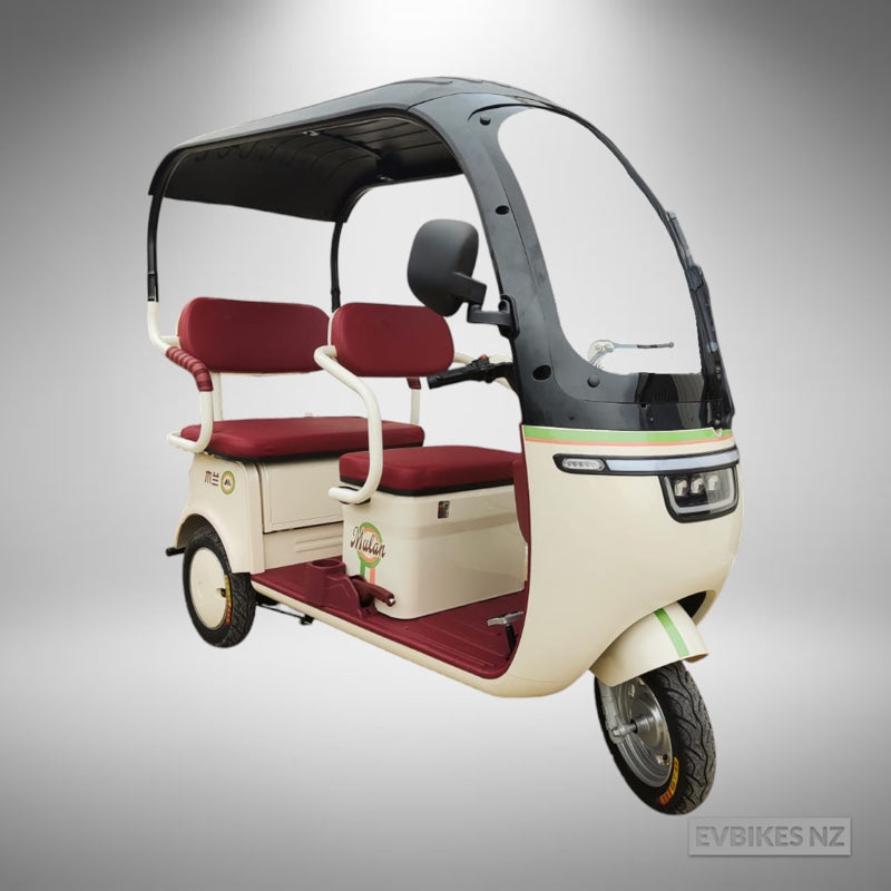 TM8 - Electric Mobility Plus Tricycle with Canopy | EV Bikes